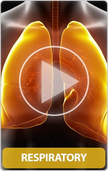 Respiratory - Disease Movie