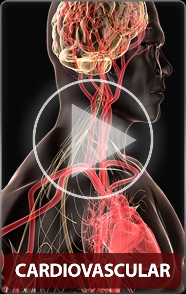 Cardiovascular - Disease Movie