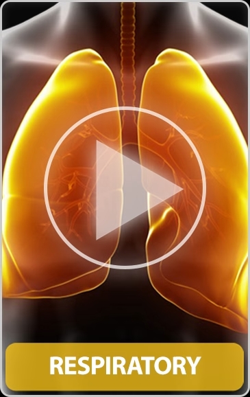 Respiratory - Disease Movie